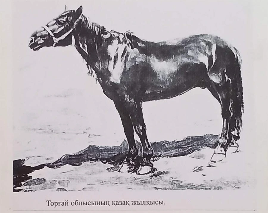 Торғай облысының қазақ жылқысы Торғай облысының қазақ жылқысы